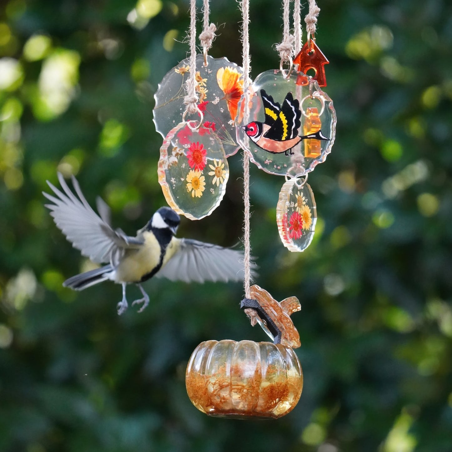 Birds- Unieke vogelvoer hangers