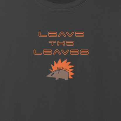 leuk t shirt met egelprint en de tekst "leave the leaves". Verkrijgbaar in verschillende kleuren en maten.